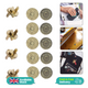 Magnetic Clasp Metal Snap Fastener Button